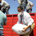 Entrega de 1.225 sacos de pellets de alfalfa para el ganado de 49 agricultores 26-01-2022-2 (2)