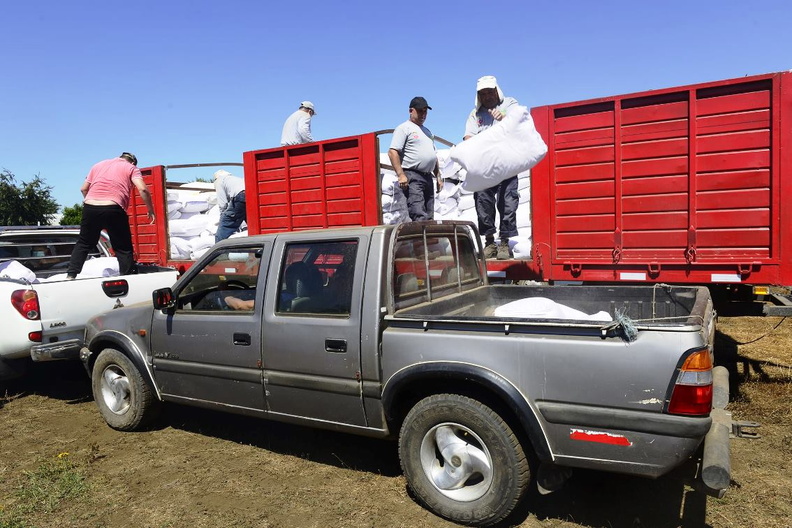 Entrega de 1.225 sacos de pellets de alfalfa para el ganado de 49 agricultores 26-01-2022-2 (3).jpg