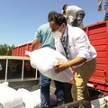 Entrega de 1.225 sacos de pellets de alfalfa para el ganado de 49 agricultores 26-01-2022-2 (8)