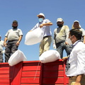 Entrega de 1.225 sacos de pellets de alfalfa para el ganado de 49 agricultores 26-01-2022-2 (16)