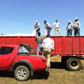 Entrega de 1.225 sacos de pellets de alfalfa para el ganado de 49 agricultores 26-01-2022-2 (23)