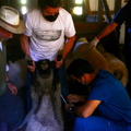 Programa Mascota Protegida de la Subdere se presenta en Pinto junto al famoso veterinario Sebastián Jiménez 09-02-2022 (1).jpg