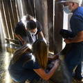 Programa Mascota Protegida de la Subdere se presenta en Pinto junto al famoso veterinario Sebastián Jiménez 09-02-2022 (5)