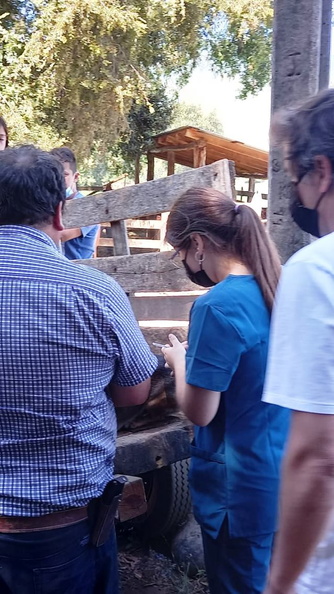 Programa Mascota Protegida de la Subdere se presenta en Pinto junto al famoso veterinario Sebastián Jiménez 09-02-2022 (8).jpg