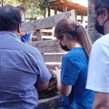 Programa Mascota Protegida de la Subdere se presenta en Pinto junto al famoso veterinario Sebastián Jiménez 09-02-2022 (8)