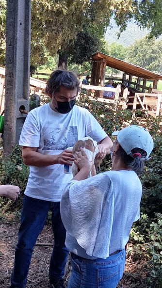 Programa Mascota Protegida de la Subdere se presenta en Pinto junto al famoso veterinario Sebastián Jiménez 09-02-2022 (9).jpg