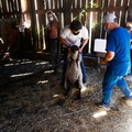 Programa Mascota Protegida de la Subdere se presenta en Pinto junto al famoso veterinario Sebastián Jiménez 09-02-2022 (21)