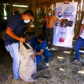 Programa Mascota Protegida de la Subdere se presenta en Pinto junto al famoso veterinario Sebastián Jiménez 09-02-2022 (22)