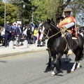 Desfile de Fiestas Patrias 2022 21-09-2022 (316)