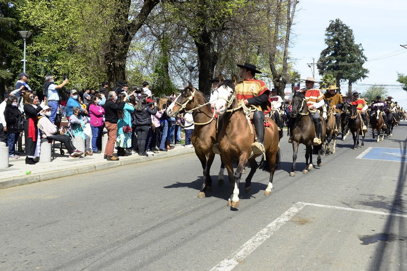 Desfile de Fiestas Patrias 2022 21-09-2022 (317)