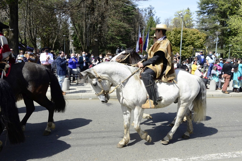 Desfile de Fiestas Patrias 2022 21-09-2022 (327)