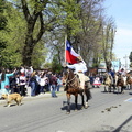 Desfile de Fiestas Patrias 2022 21-09-2022 (335)