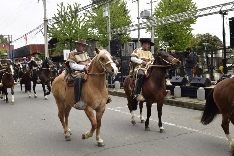 Desfile Aniversario Nº 162 de la comuna de Pinto 11-10-2022 (695).jpg