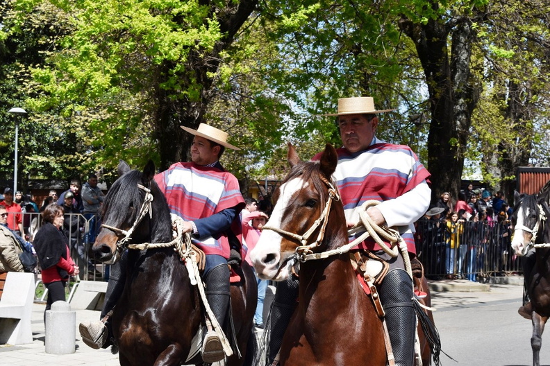 Desfile en el marco del Aniversario Nº 163° de la comuna de Pinto 11-10-2023 (633)
