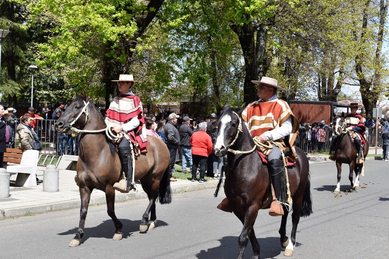 Desfile en el marco del Aniversario Nº 163° de la comuna de Pinto 11-10-2023 (640)