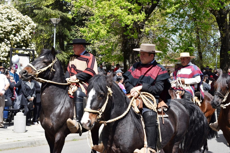 Desfile en el marco del Aniversario Nº 163° de la comuna de Pinto 11-10-2023 (645)