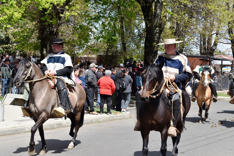 Desfile en el marco del Aniversario Nº 163° de la comuna de Pinto 11-10-2023 (646)
