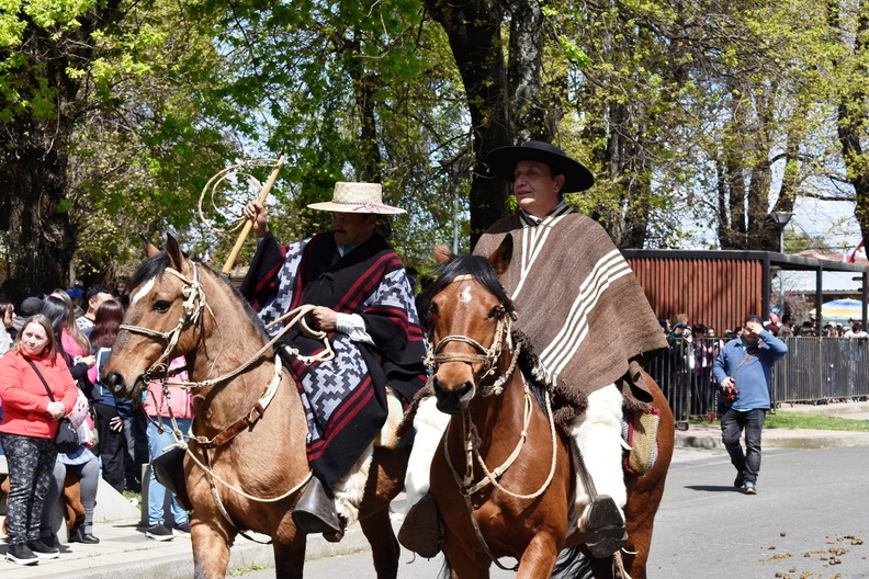 Desfile en el marco del Aniversario Nº 163° de la comuna de Pinto 11-10-2023 (655)