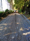 Trabajos de reparación y mantención de caminos terminaron en el Camino San Gabriel 23-01-2019 (1)
