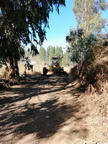 Trabajos de reparación y mantención de caminos terminaron en el Camino San Gabriel 23-01-2019 (3)