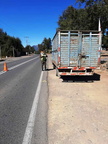 Carabineros de Chile realiza fuerte fiscalización vehicular en Pinto 05-04-2020 (8)