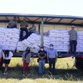 Entrega de concentrado de alimentos en sacos de 25 kilos para ganadería a ganaderos de Pinto 17-12-2021-2 (10)