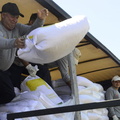Entrega de concentrado de alimentos en sacos de 25 kilos para ganadería a ganaderos de Pinto 17-12-2021-2 (11)